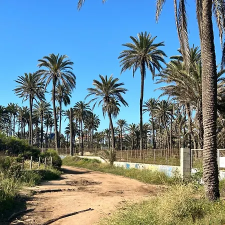 Marazul *
